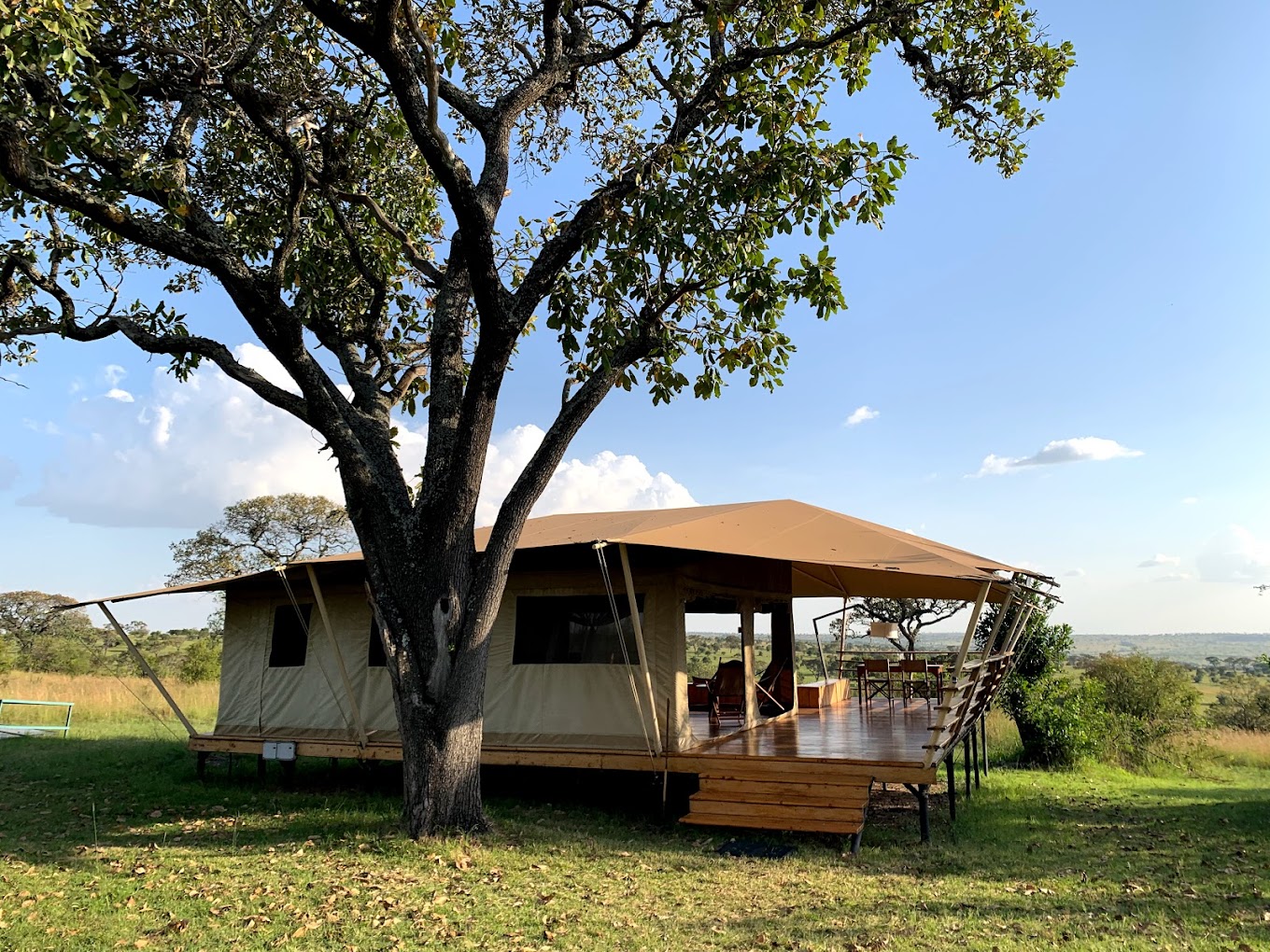Serengeti Bushtops Luxury Camp5