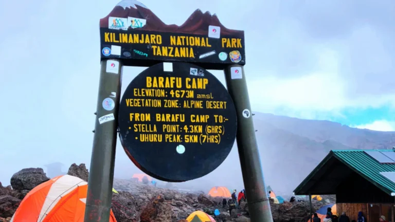 kilimanjaro (2)