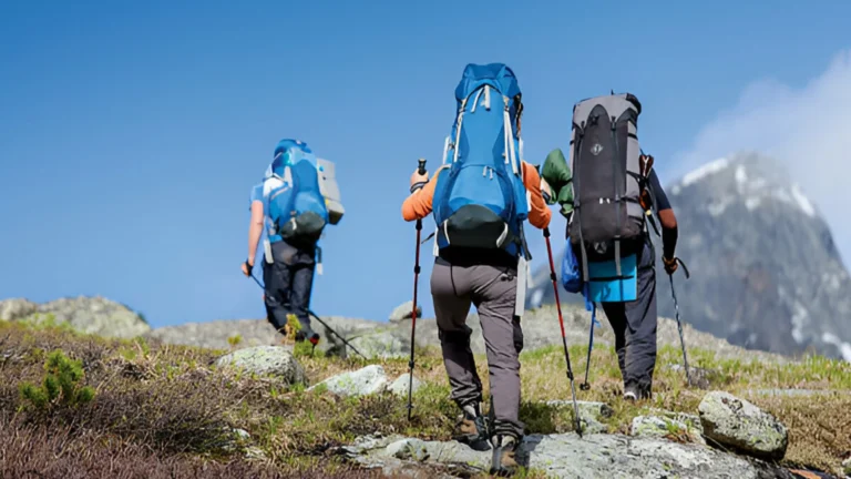 kilimanjaro Climbing (3)