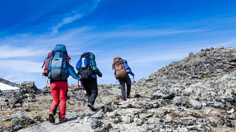 kilimanjaro Climbing (4)