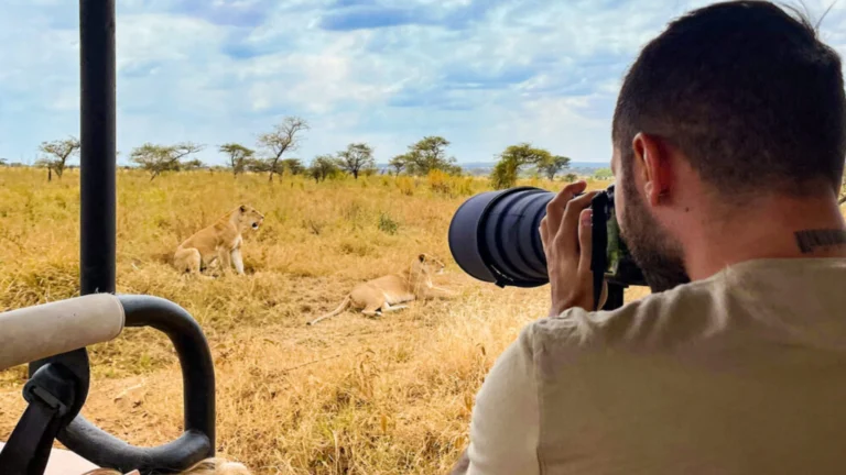 photographic Safari