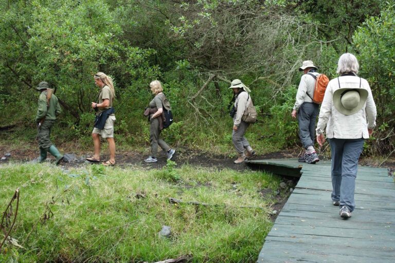 ARUSHAWALKINGSAFARI