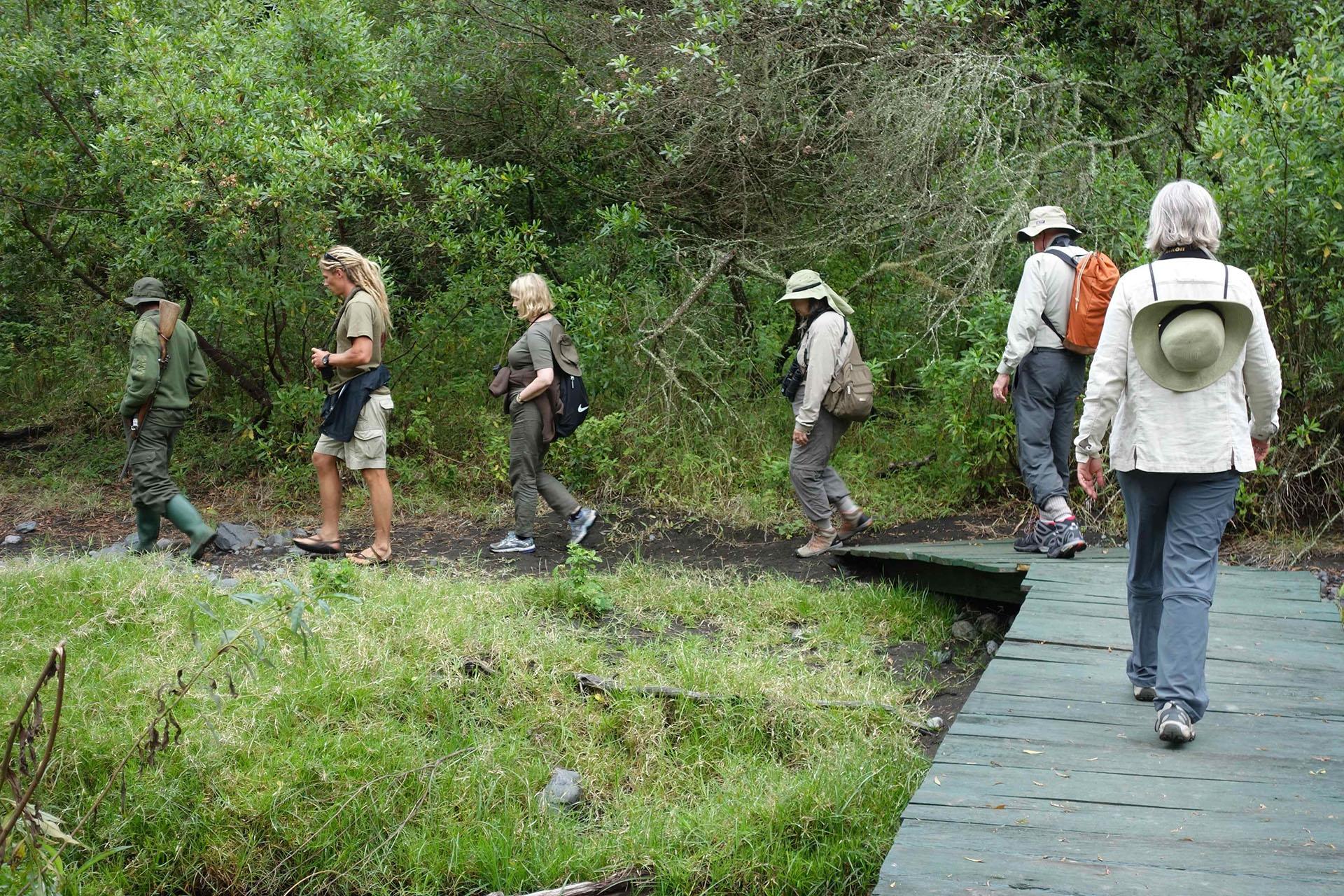 ARUSHAWALKINGSAFARI