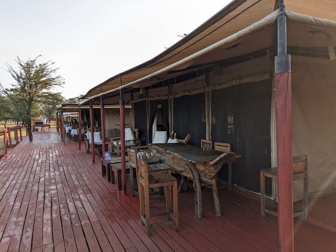 Acacia Central Camp4