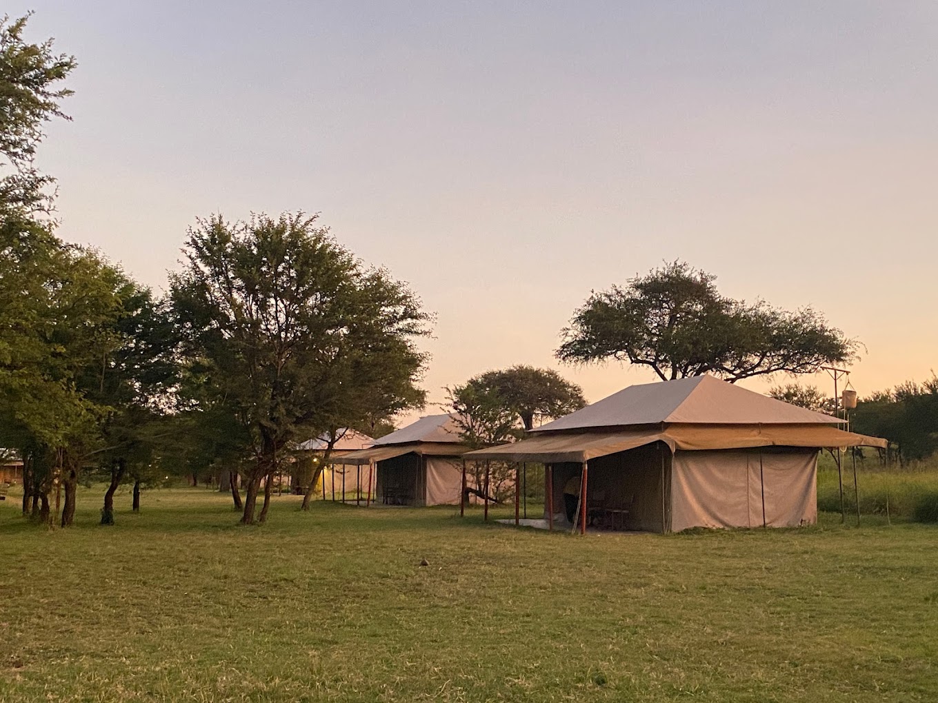 Acacia Central Camp7