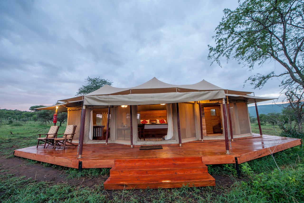 Acacia Central Camp8