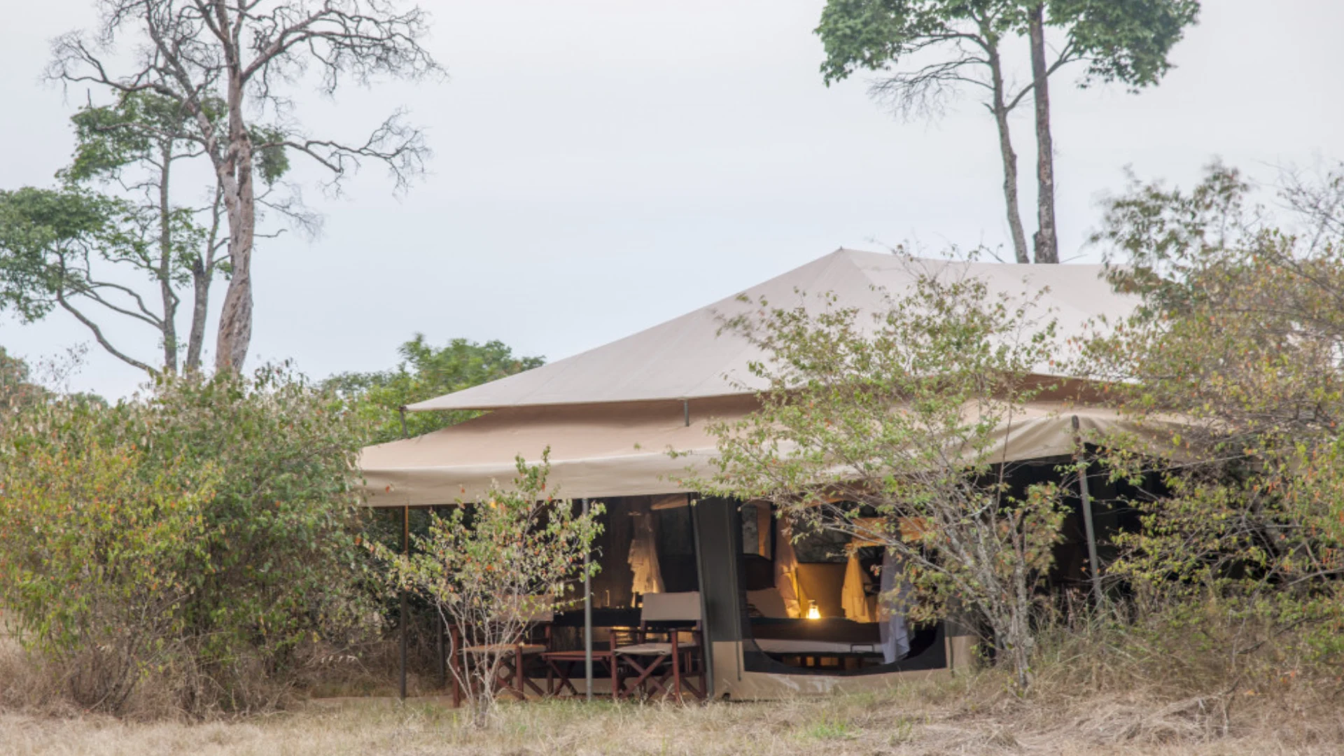 Acacia Migration Camp–hidden-gem