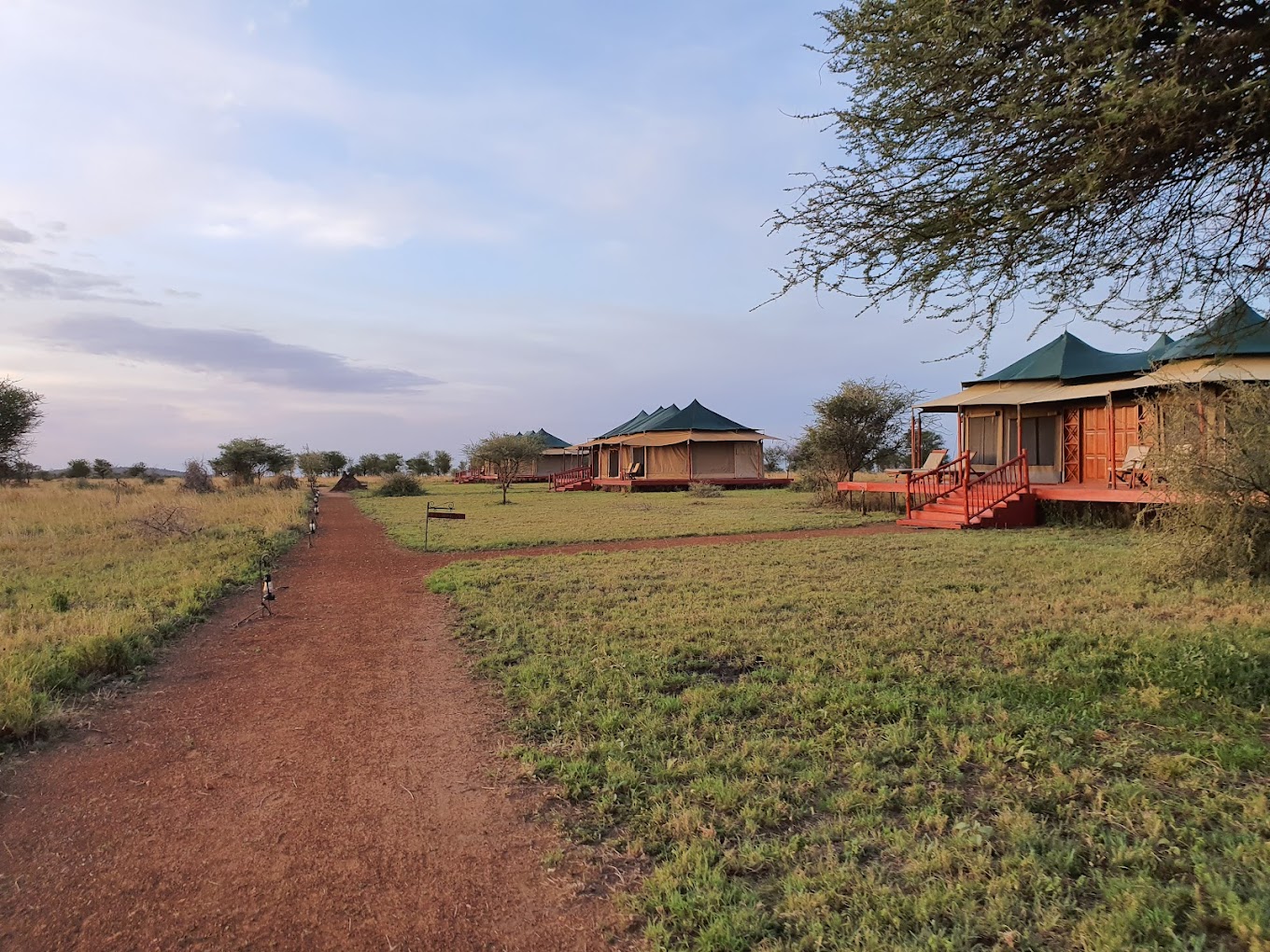 Acacia Seronera Luxury camp