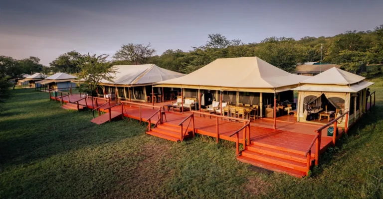 Acacia Seronera Luxury camp9