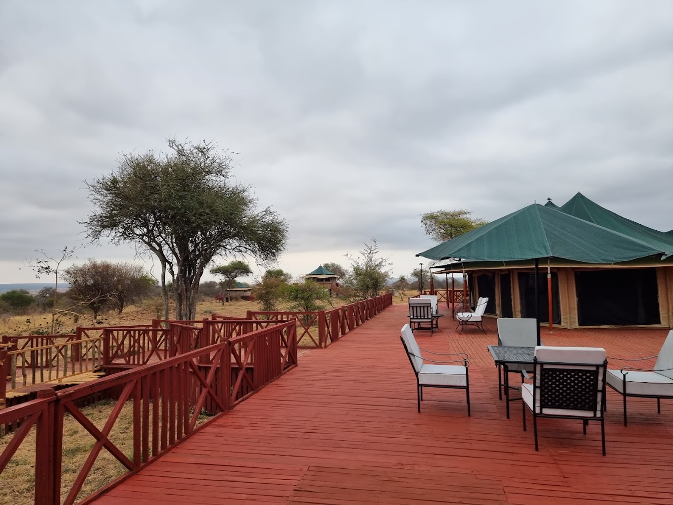 Acacia Tarangire Luxury Camp 2