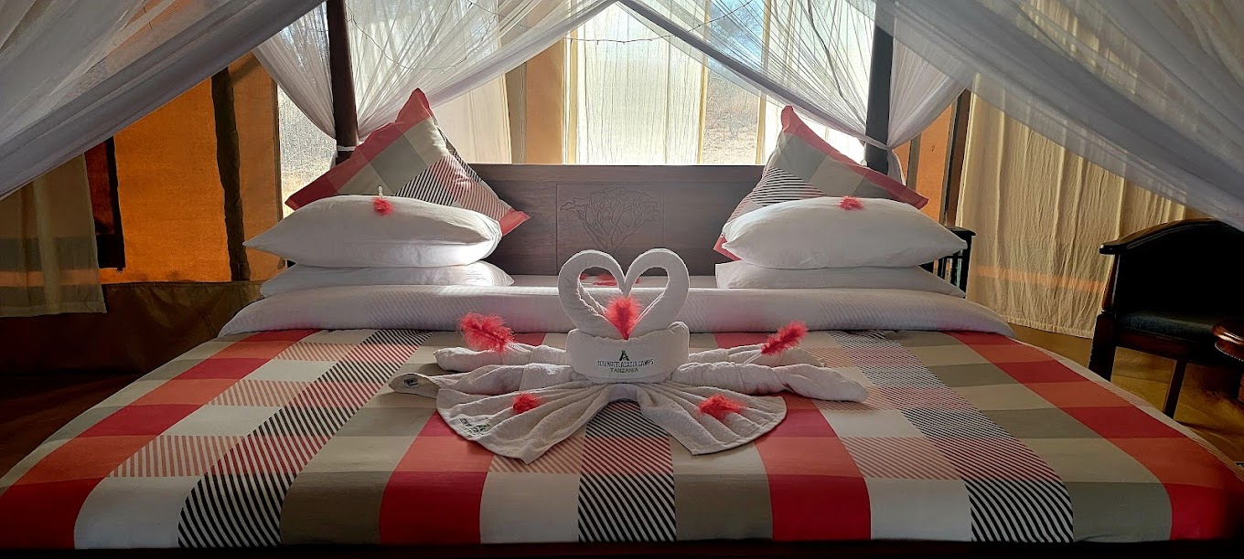 Acacia Tarangire Luxury Camp 4