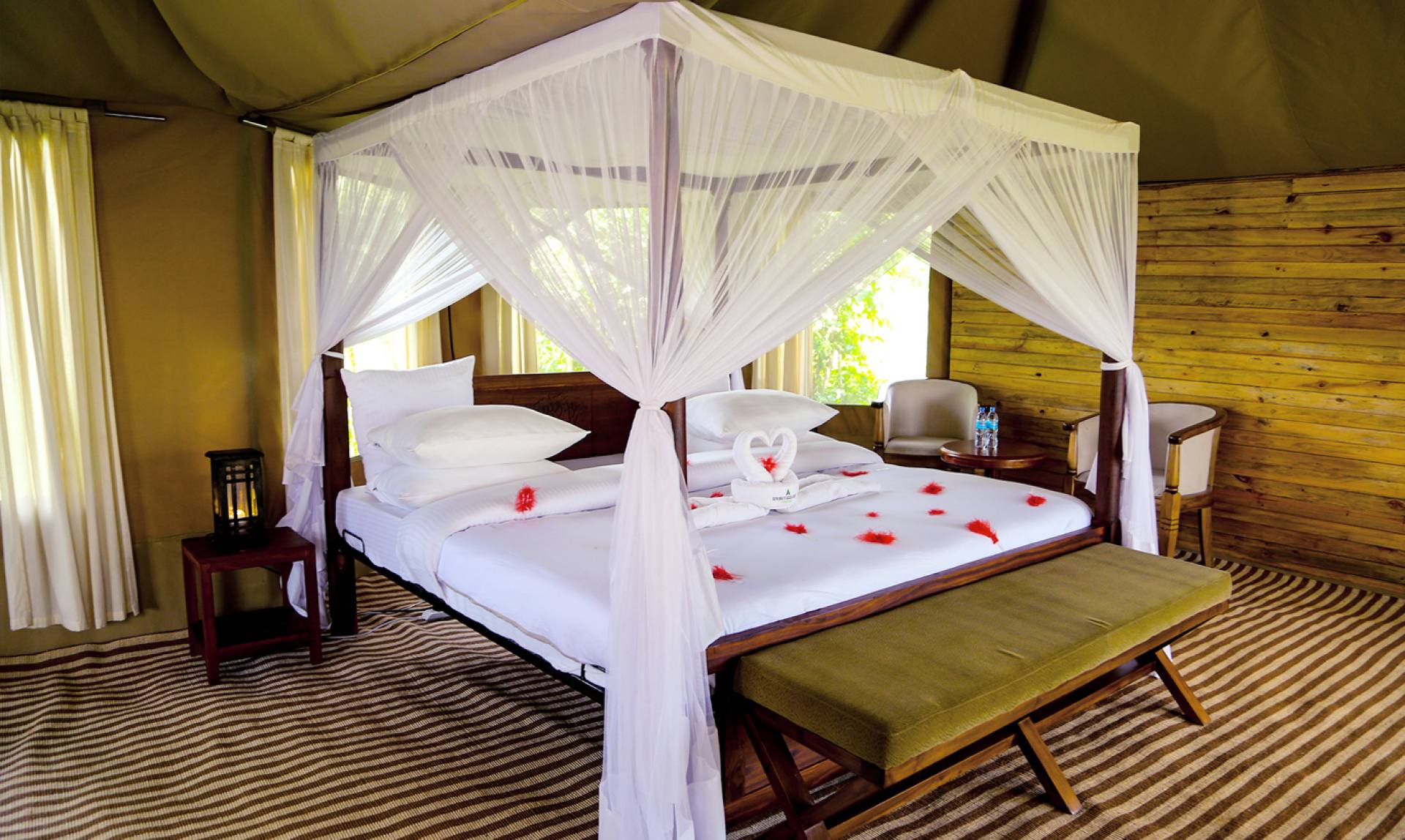 Acacia Tarangire Luxury Camp3