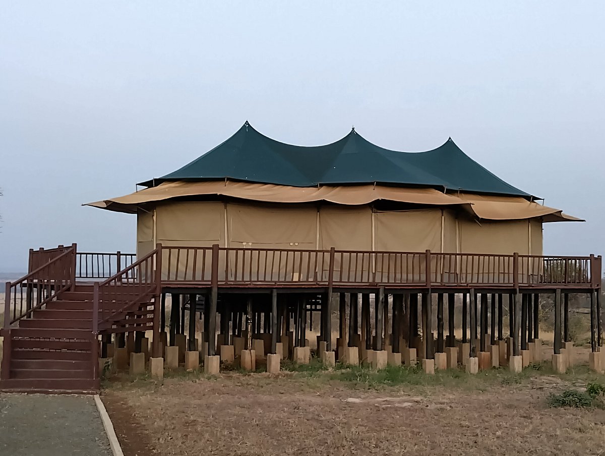 Acacia Tarangire Luxury Camp6