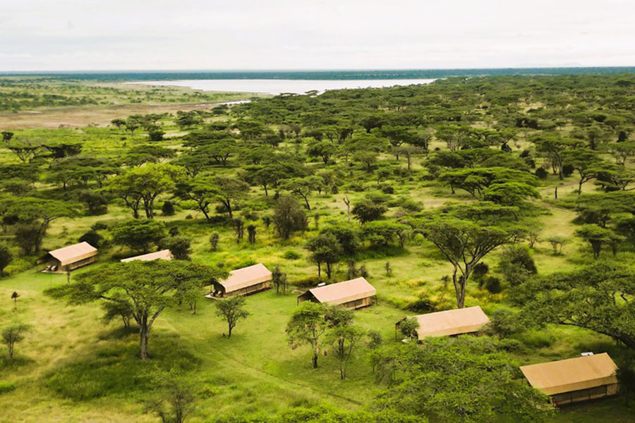 Africa Safari South Serengeti Ndutu 3