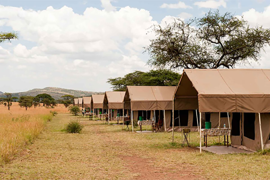 Africa Safari South Serengeti Ndutu 4