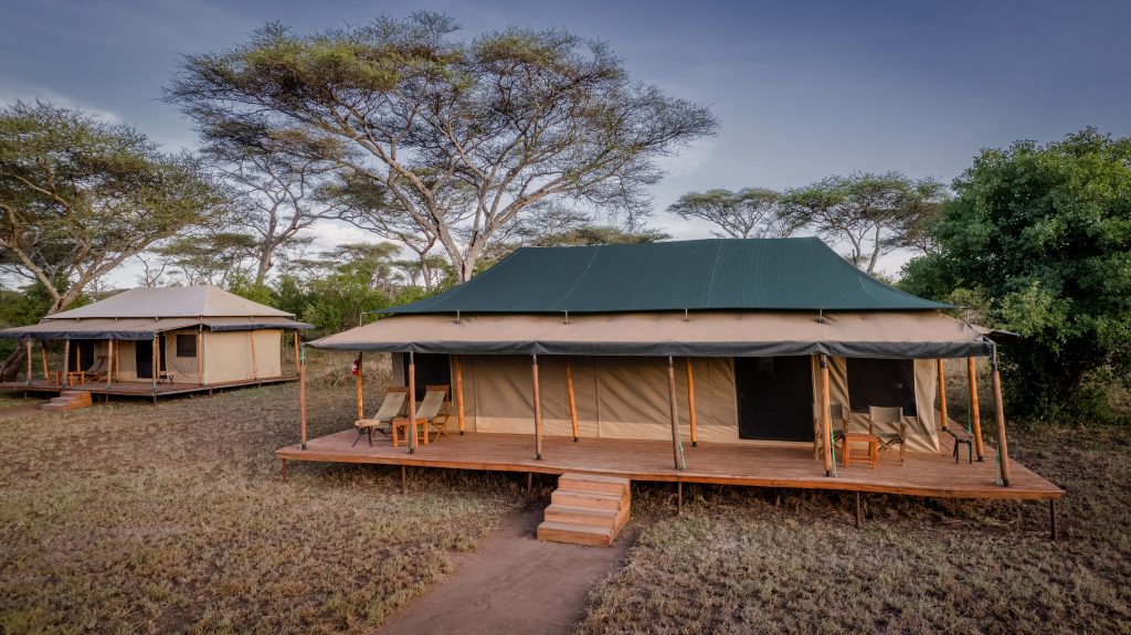 Baobab Serengeti Camp4