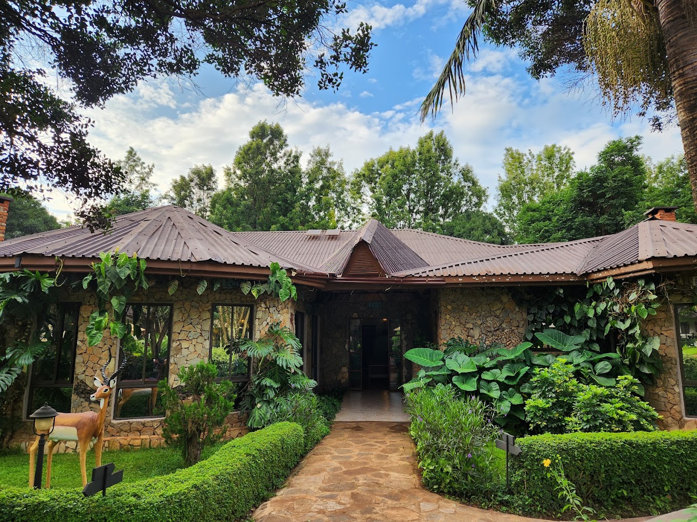 Bougainvillea Safari Lodge 6