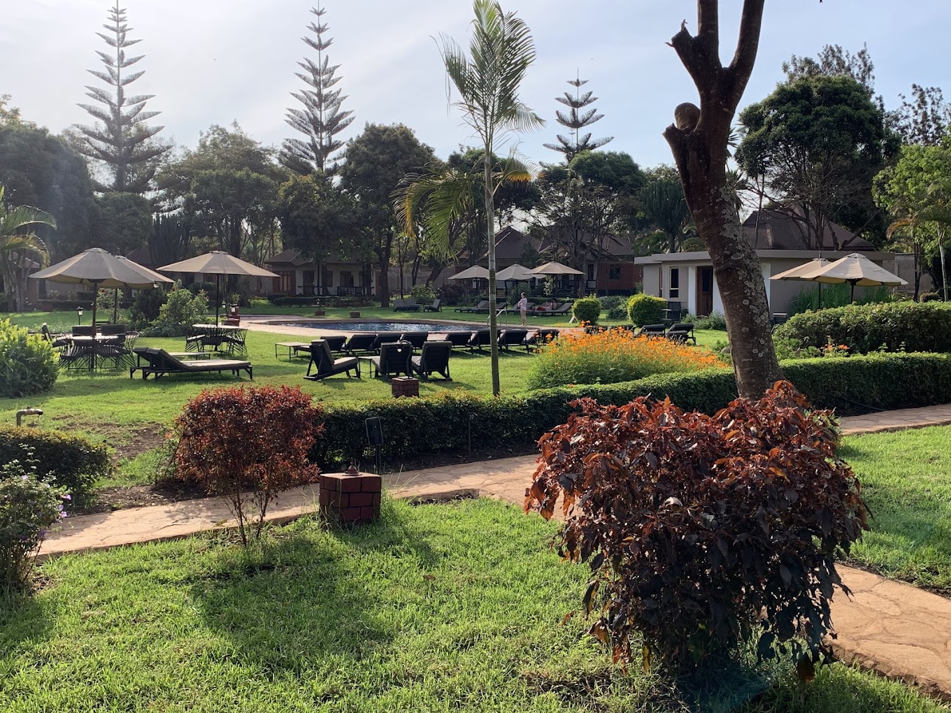 Bougainvillea Safari Lodge 8