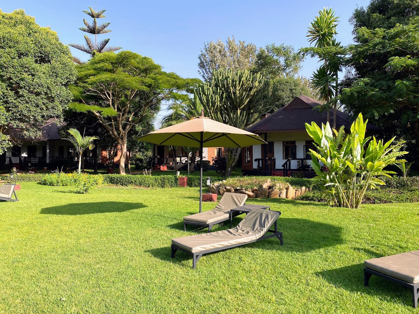 Bougainvillea Safari Lodge 9