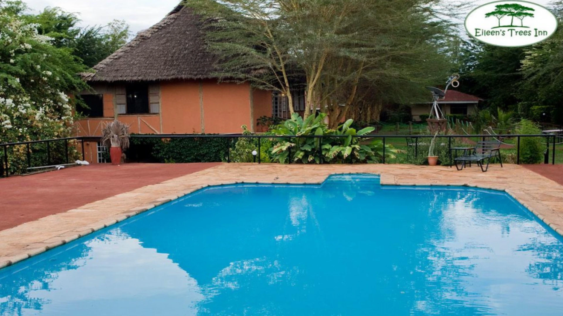 Eileen's Trees Inn -swimming-pool-karatu