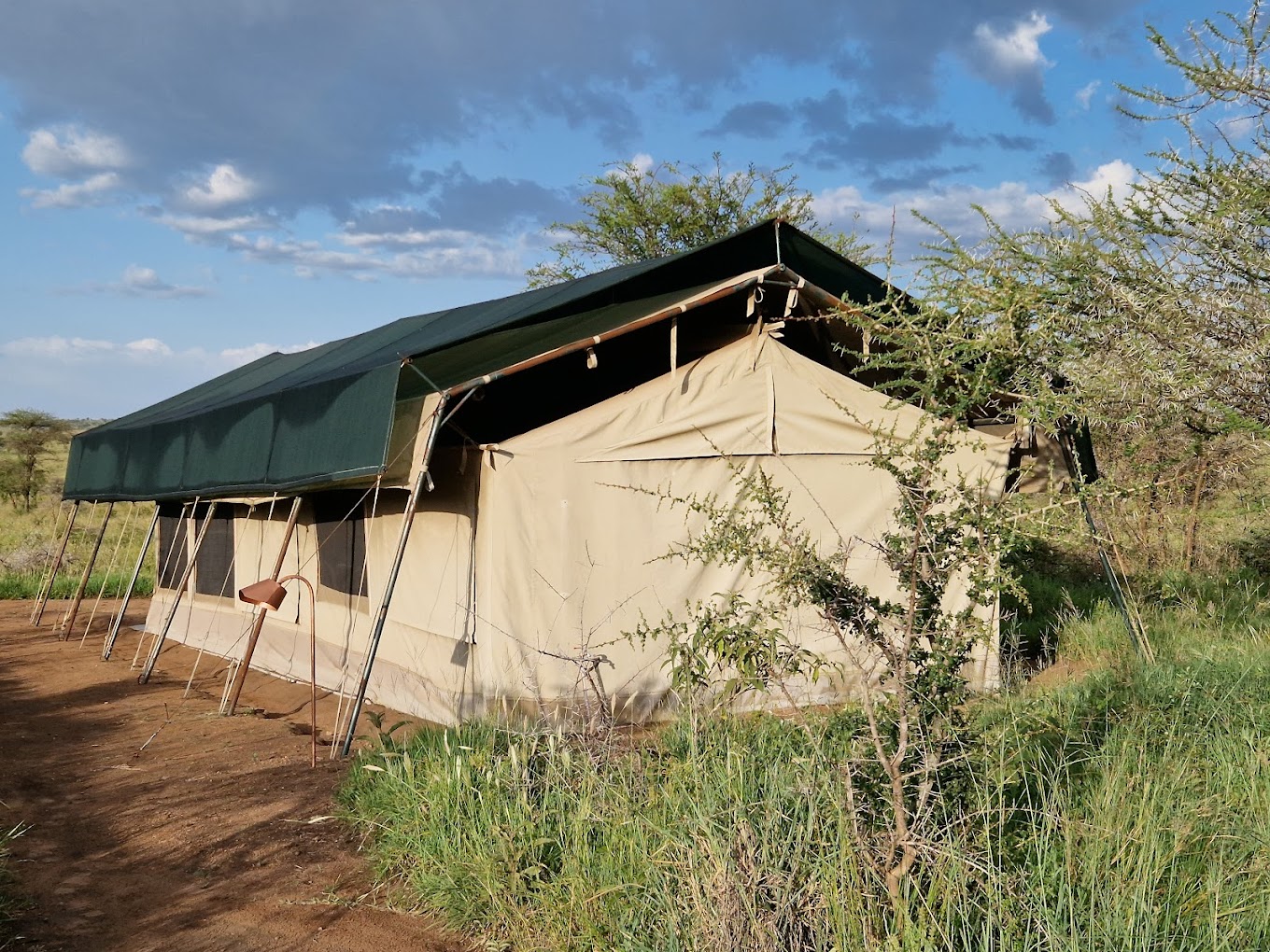 Nyumbani Collections4