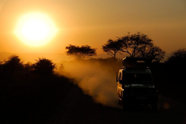 Tarangire National Park safari sunset