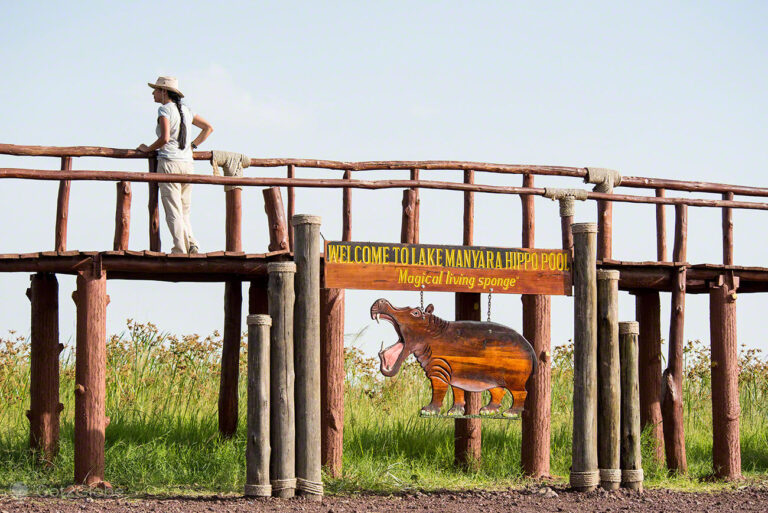 lago-manyara-hipopotamos
