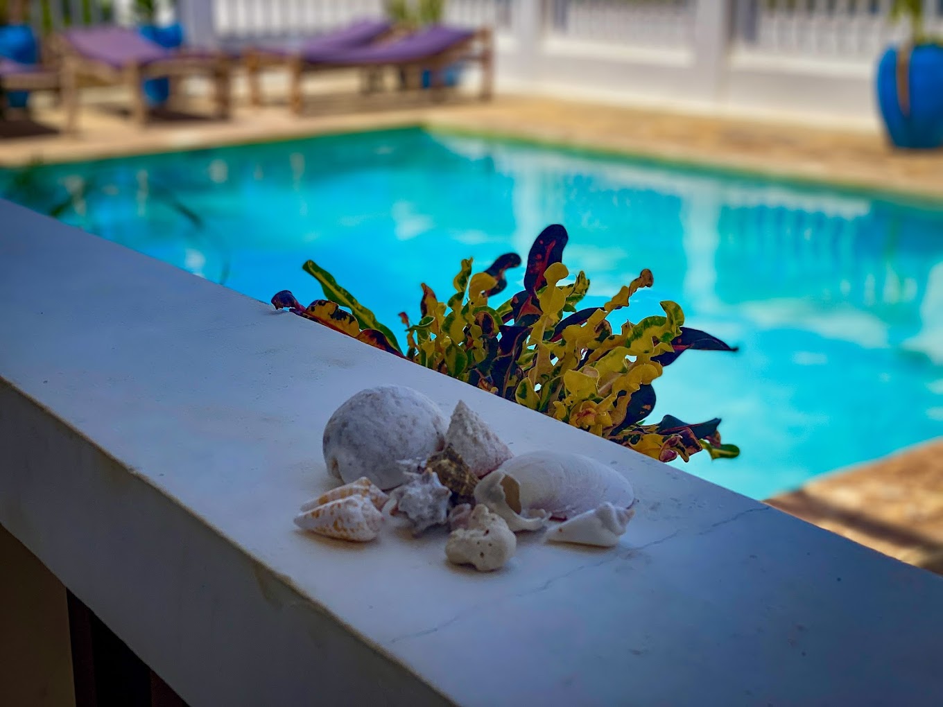 Mambo House Zanzibar3