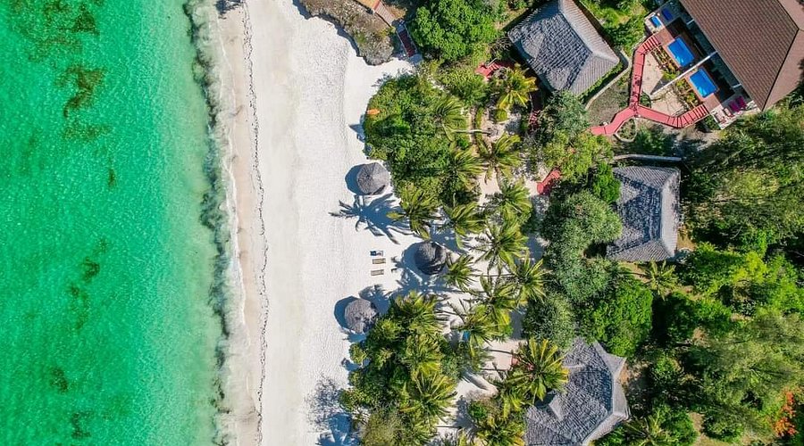 Pongwe Beach Hotel4