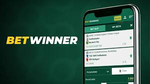 Maximize Your Winnings BetWinner Promo Codes & Bonuses Explained
